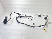 Front door wiring loom