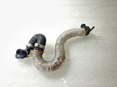 Tuyau sous vide