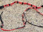 Other wiring loom
