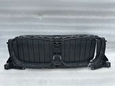 Front bumper upper radiator grill