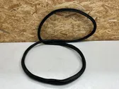 Rear door rubber seal (on body)