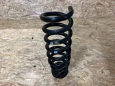 Rear coil spring