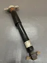 Rear shock absorber/damper