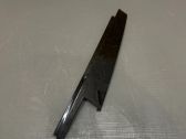 Rear door glass trim molding