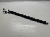 Tailgate/trunk strut/damper