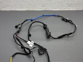 Rear door wiring loom