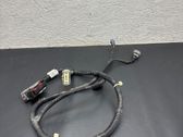 Other wiring loom