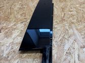 Rear door glass trim molding