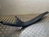 Other sill/pillar trim element