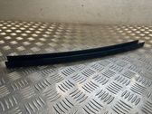 Rear door glass trim molding