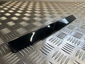 Rear door glass trim molding
