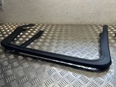 Rear door glass trim molding
