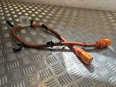 Other wiring loom