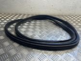 Rear door rubber seal (on body)