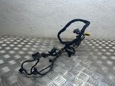 Other wiring loom