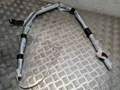 Roof airbag