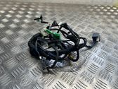 Other wiring loom