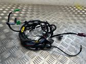 Other wiring loom