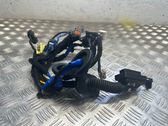 Front door wiring loom
