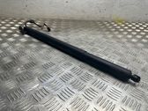 Tailgate/trunk strut/damper