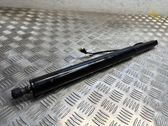Tailgate/trunk strut/damper