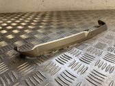 Other rear door trim element