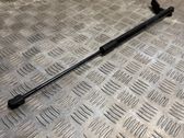 Tailgate/trunk strut/damper
