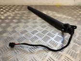 Tailgate/trunk strut/damper
