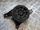 Front door speaker
