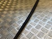 Windshield trim