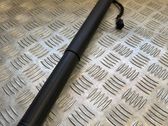 Tailgate/trunk strut/damper