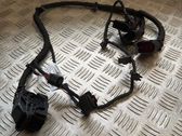 Other wiring loom