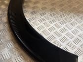 Fender trim (molding)