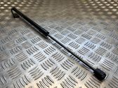 Tailgate/trunk strut/damper
