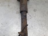 Rear shock absorber/damper