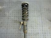 Front shock absorber with coil spring