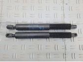 Tailgate/trunk strut/damper