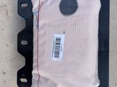 Airbag del pasajero