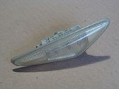 Front fender indicator light