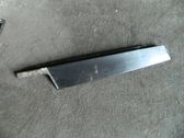 Other front door trim element