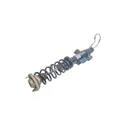 Rear shock absorber with coil spring