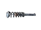 Rear shock absorber with coil spring
