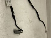 Other wiring loom