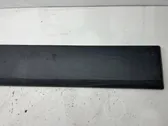 Sliding door trim (molding)