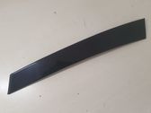 Rear door glass trim molding