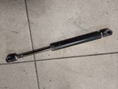 Tailgate/trunk strut/damper