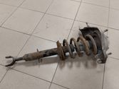 Front shock absorber with coil spring