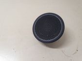 Panel speaker