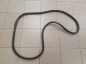 Trunk rubber seal (body)