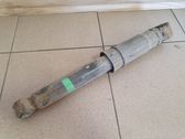 Rear shock absorber/damper